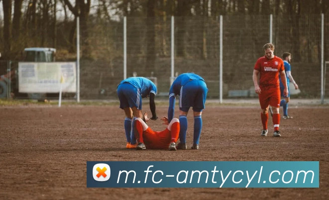 澳门太阳城APP 封面图